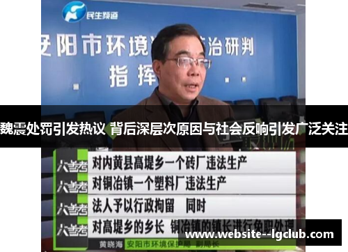 魏震处罚引发热议 背后深层次原因与社会反响引发广泛关注