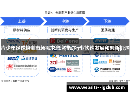 青少年足球培训市场需求激增推动行业快速发展和创新机遇 青少年足球培训市场需求激增推动行业快速发展和创新机遇